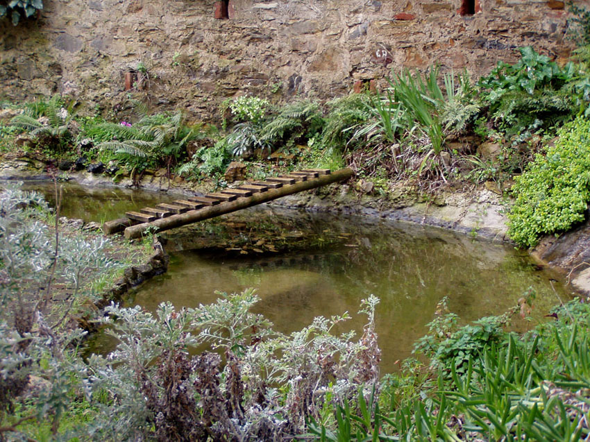 Il Laghetto del Centro di Entomologia - Piombino (LI)